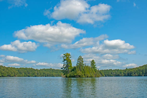 istock High Skies and Puffy Clouds in the North Woods 1285844482