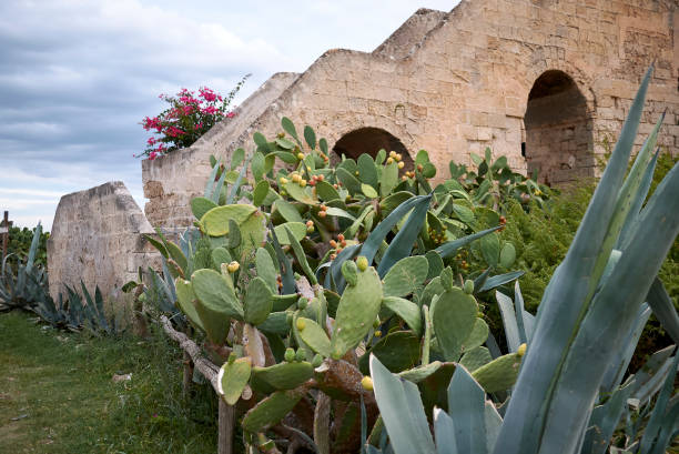 Torre Colimena, Italy - September 02, 2020: View of Torre Colimena