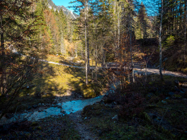 istock Footpath in Ramsau, Berchtesgaden, Bavaria, Germany, on a sunny day in autumn 1285847273