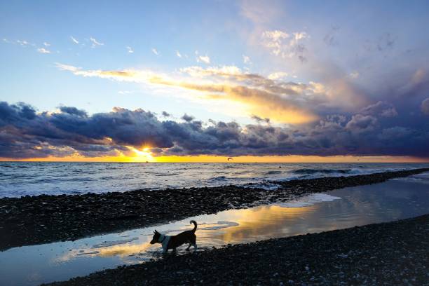 Delightful sunset at the sea, beach, walk, relaxation