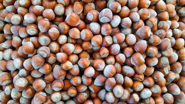 istock Shelled Hazelnuts Sale On Market Stall 1285848622
