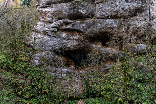 istock Autumn landscape with cave in the rock between mossy stones in deep gorge 1285851386