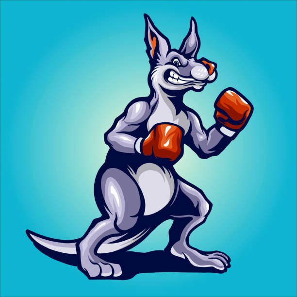 strong kangaroo wear boxing gloves for your work Logo merchandise clothing line, stickers and poster, greeting cards advertising business company or brands strong kangaroo wear boxing gloves for your work Logo merchandise clothing line, stickers and poster, greeting cards advertising business company or brands kangaroos fighting stock illustrations