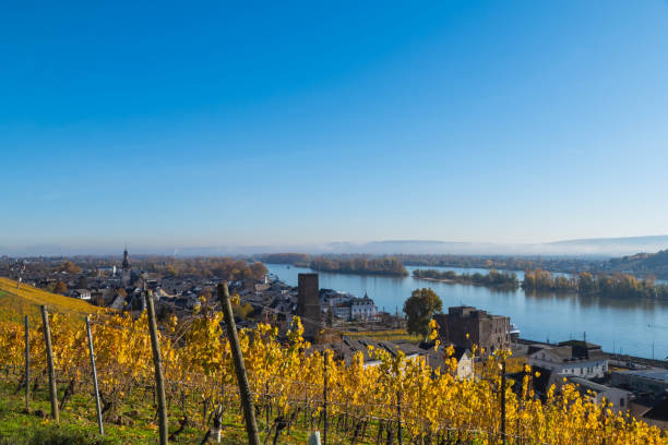 istock View to Ruedesheim Germany from above in Autumn 1285854372