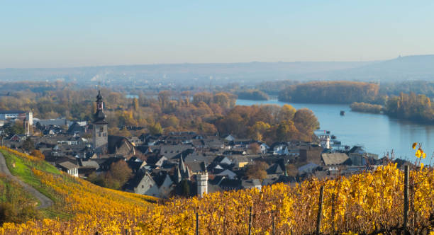 istock Ruedesheim from above in Autumn 1285854391