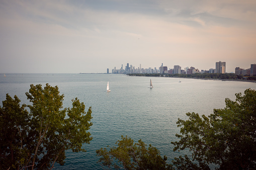 Aerial of sailboats coming in and out of Montrose harbor at sunset as they sail on the calm blue water of Lake Michigan and enjoy the city skyline views on a beautiful fall day with trees below.