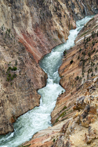 yellowstone river au grand canyon du yellowstone - inspiration point - eroded water grand canyon of yellowstone river river photos et images de collection