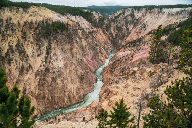 yellowstone river au grand canyon du yellowstone - inspiration point - eroded water grand canyon of yellowstone river river photos et images de collection