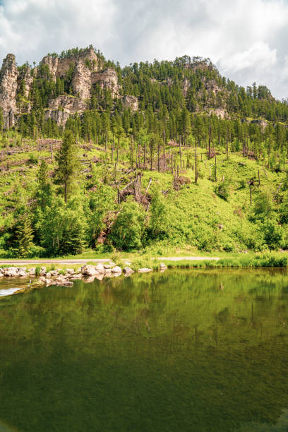 Calm water at the Spearfish Creek, near the Old Spearfish Creek Dam Calm water at the Spearfish Creek, near the Old Spearfish Creek Dam black hills national forest stock pictures, royalty-free photos & images