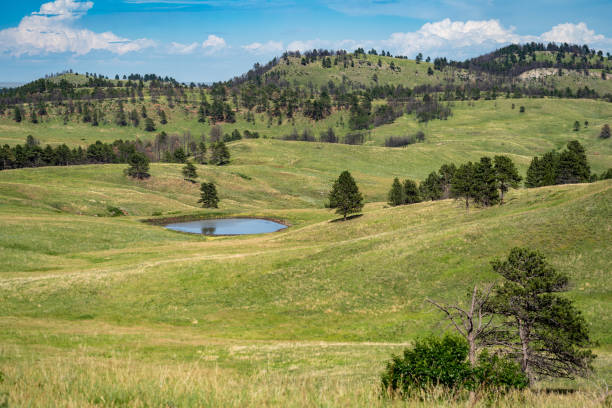 Pond with rolling hills in Custer State Park in South Dakota USA Pond with rolling hills in Custer State Park in South Dakota USA custer state park stock pictures, royalty-free photos & images
