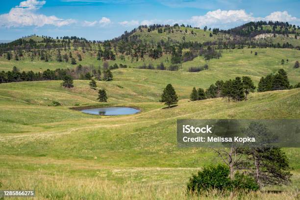 Pond With Rolling Hills In Custer State Park In South Dakota Usa Stock Photo - Download Image Now