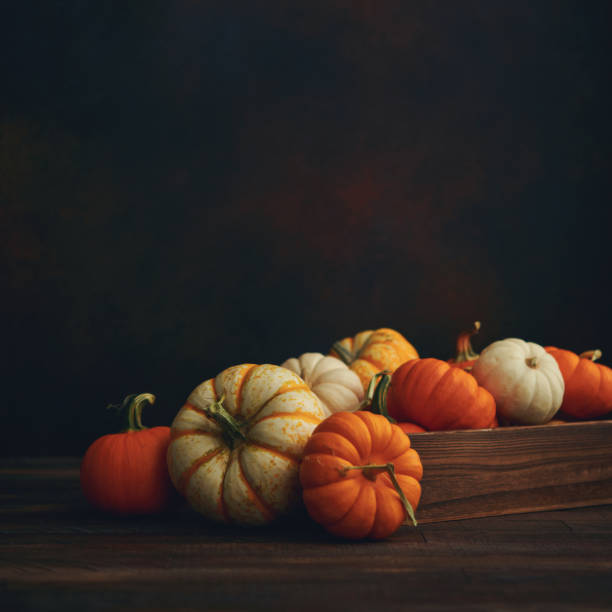 istock Thanksgiving Fall arrangement with pumpkins in harvest crate 1285866363