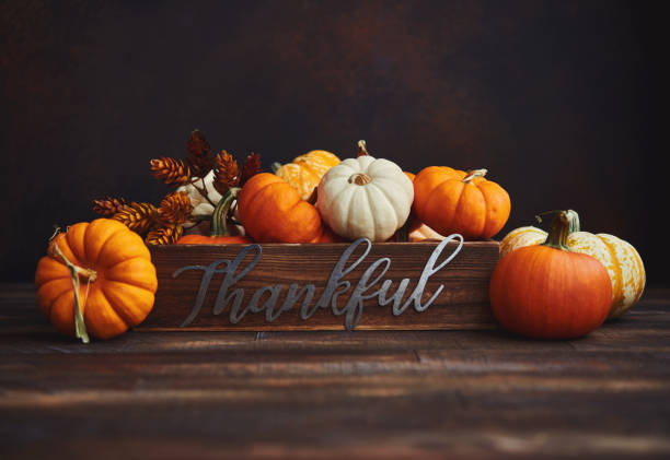 istock Pumpkin Collection with Thankful Message for Thanksgiving. Fall Background 1285866366
