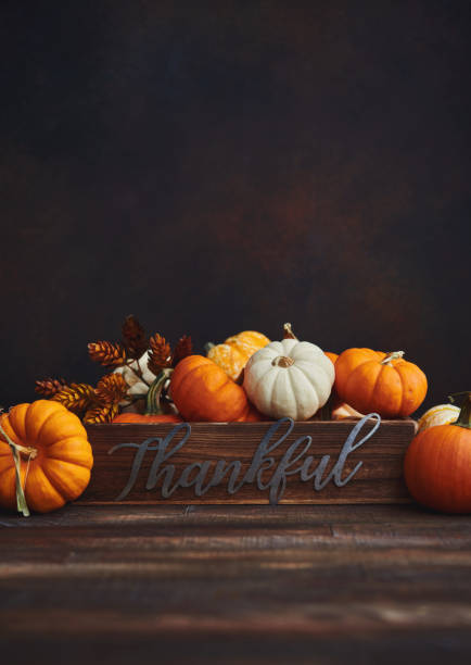 istock Pumpkin Collection with Thankful Message for Thanksgiving. Fall Background 1285866395