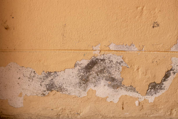 istock Paint peeling paint on the house wall 1285869070