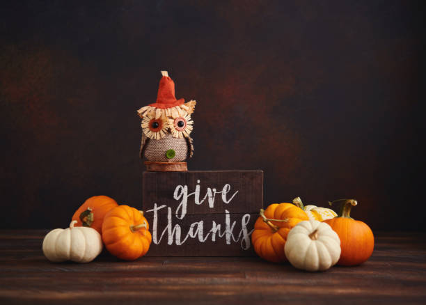 istock Fall background with Give Thanks Message and cute fabric owl 1285869286