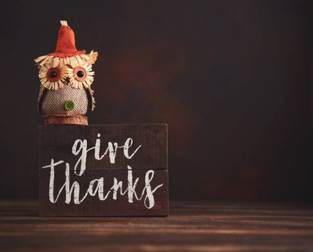 istock Fall background with Give Thanks Message and cute fabric owl 1285869316