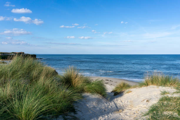 istock beach access through marsh grass and sand dunes to a secluded sandy beach 1285869366