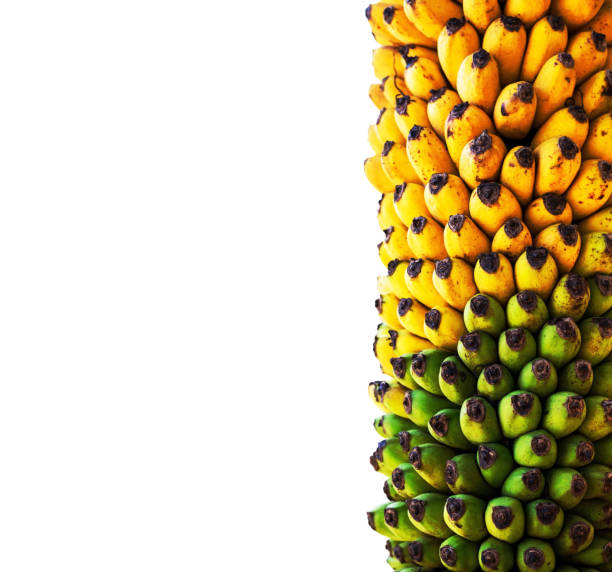 banana on white background.