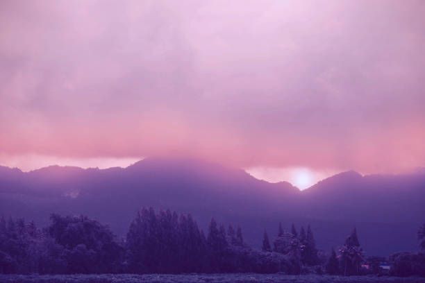 istock trees with atmosphere in the winter. 1285872835