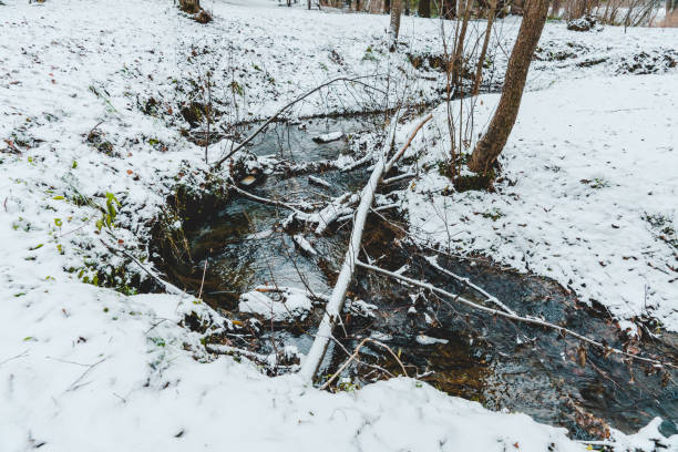 Small spring in the snow forest. Selective focus. Winter landscape.