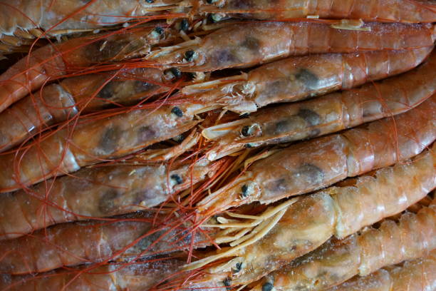 istock Frozen langoustines are laid out one to one. 1285880650