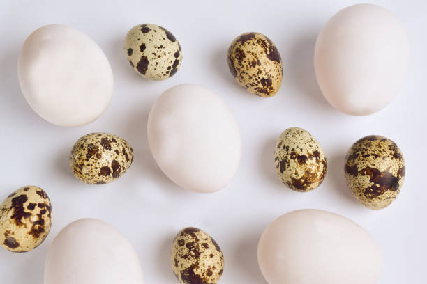 istock Lots of quail and chicken eggs on white clipping background all over frame 1285880913