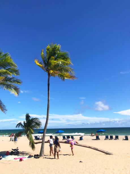 calçada em fort lauderdale beach, flórida, eua ao meio-dia em uma temporada de verão. - beach family boardwalk footpath - fotografias e filmes do acervo