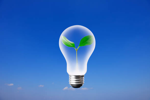 istock Young plant growing within light bulb in mid-air against clear sky 1285885034