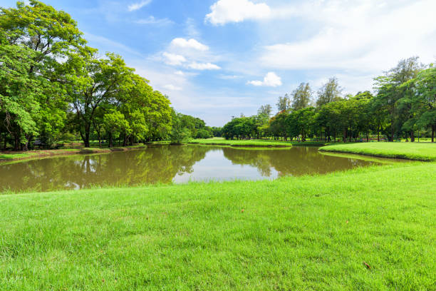 istock Beautiful landscape in park and green grass field. 1285886381
