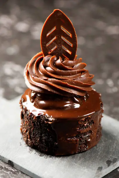 Delicious Mini Dark Chocolate Mudcake, food background.