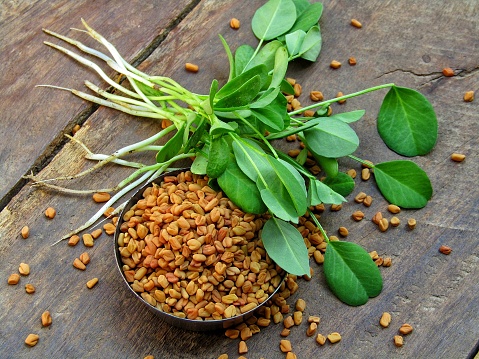 Fenugreek seeds and plant on a old wooden background