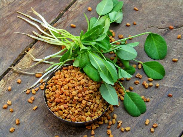 Fenugreek seeds and plant on a old wooden background Fenugreek seeds and plant on a old wooden background fenugreek stock pictures, royalty-free photos & images