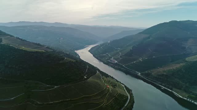 Aerial of Douro terraced vineyards in Portugal