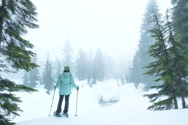 solo mujer raquetas de nieve en el bosque, disfrutando de la vista desde snowy ridge - mt seymour provincial park fotografías e imágenes de stock