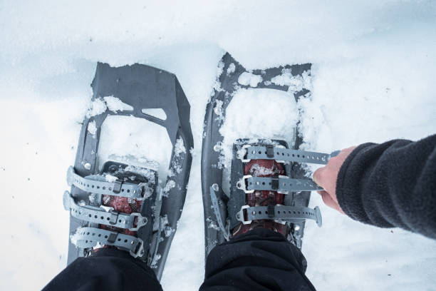 pov, man tightening straps on snowshoes - mt seymour provincial park imagens e fotografias de stock