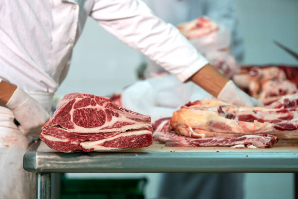 Butcher cutting wagyu beef in the slaughterhouse and team Butcher cutting wagyu beef in the slaughterhouse and team meat packing industry photos stock pictures, royalty-free photos & images