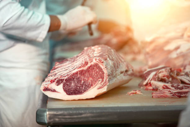 carnicería cortando carne wagyu en el matadero - carnicería fotografías e imágenes de stock