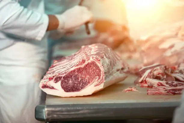 Photo of Butcher cutting wagyu beef in the Slaughterhouse