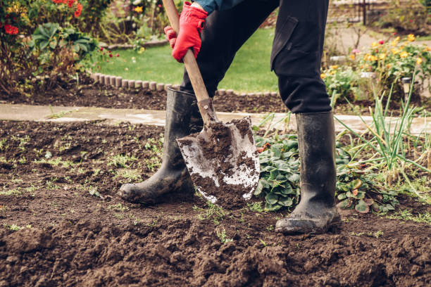 istock man struggles with a spade and wet soil. Soil turning and subsequent loosening. Supplying nutrients to the earth. Red gloves and rubber boots 1285896253