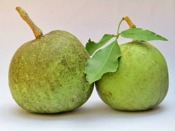 istock Aegle marmelos or Indian bael fruit stock photo 1285897314