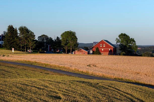 istock LANDSCAPES OF SWEDEN 1285900493