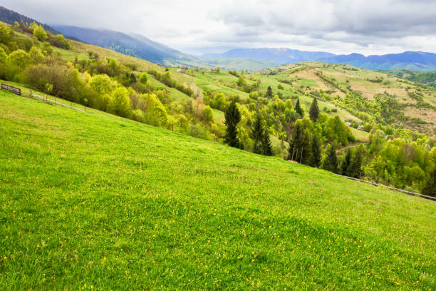 istock green meadows of mountainous countryside 1285900520