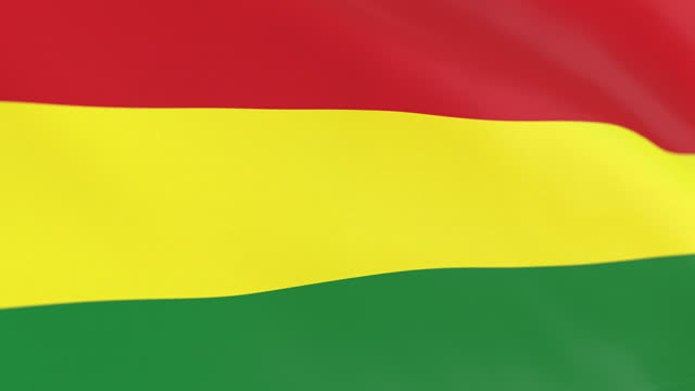 The flag of Bolivia loop
