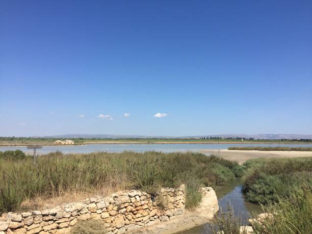 istock Nature reserve oriented wildlife oasis of vendivari 1285908489