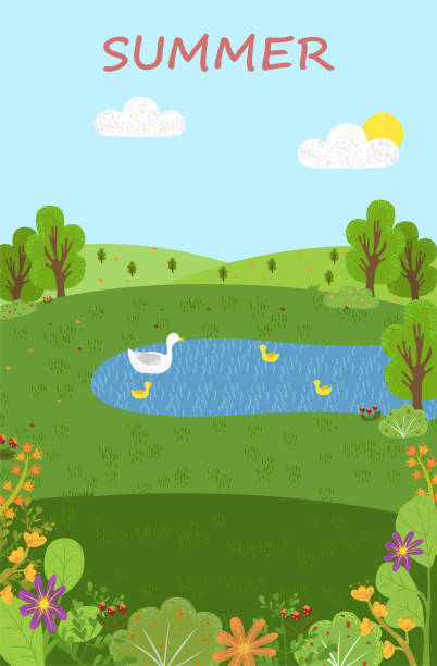 ilustrações de stock, clip art, desenhos animados e ícones de summer scenery, pond with swans, green eco clean - florida river eco tourism plant