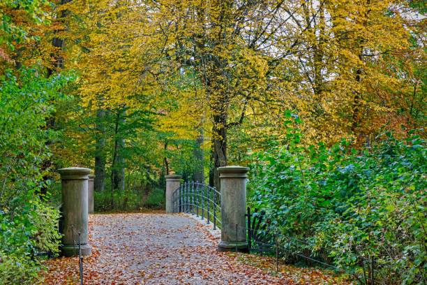 istock Bridge in a park in autumn colors 1285909587