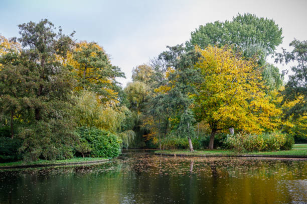 istock Trees in autumn colors in an idyllic park 1285909647
