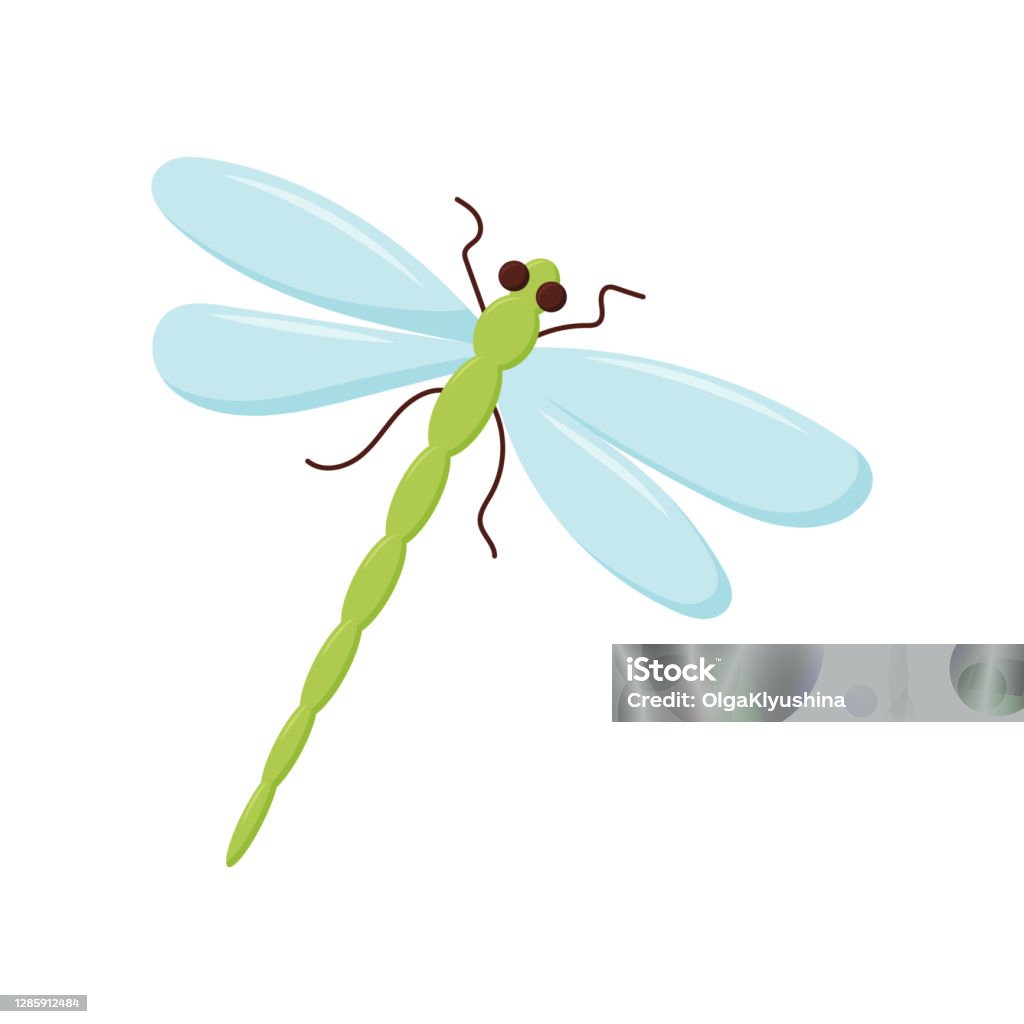 Vector Cartoon Dragonfly Character Funny Dragon Fly Icon Vector  Illustration Stock Illustration - Download Image Now - iStock