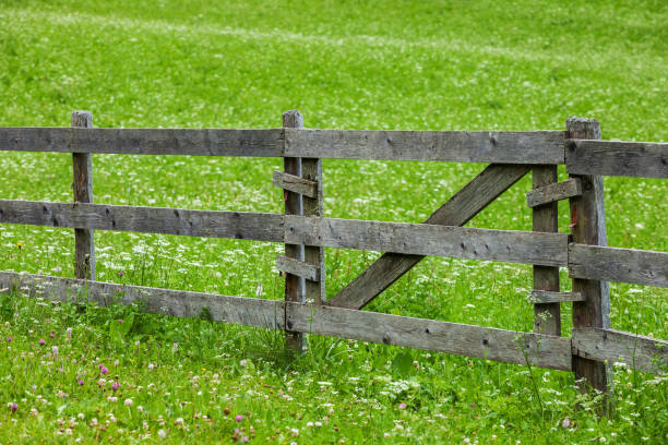 Barn and fenced pasture.
